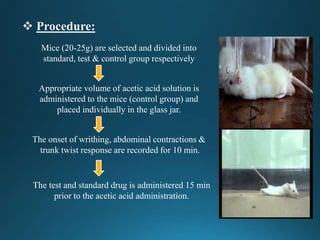 Mice (20-25g) are selected and divided into
standard, test & control group respectively
Appropriate volume of acetic acid solution is
administered to the mice (control group) and
placed individually in the glass jar.
The onset of writhing, abdominal contractions &
trunk twist response are recorded for 10 min.
The test and standard drug is administered 15 min
prior to the acetic acid administration.
 