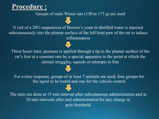 For a time response, groups of at least 7 animals are used, four groups for
the agent to be tested and one for the vehicle control
Groups of male Wistar rats (130 to 175 g) are used
0.1ml of a 20% suspension of Brewer’s yeast in distilled water is injected
subcutaneously into the plantar surface of the left hind paw of the rat to induce
inflammation
Three hours later, pressure is applied through a tip to the plantar surface of the
rat’s foot at a constant rate by a special apparatus to the point at which the
animal struggles, squeals or attempts to bite
The tests are done at 15 min interval after subcutaneous administration and at
30 min intervals after oral administration for any change in
pain threshold
 