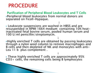 Purification of Peripheral Blood Leukocytes and T Cells
Peripheral blood leukocytes from normal donors are
separated on Ficoll-Hypaque.
↓
 Leukocyte suspensions are washed in HBSS and are
resuspended in RPMI 1664 medium containing 10% heat-
inactivated fetal bovine serum, pooled human serum and
100 U/ml penicillin/streptomycin.
↓
Highly enriched T cells are obtained by passing leukocytes
through a nylon wool column to remove macrophages and
B cells and then depleted of NK and monocytes with anti-
Leu 11 b plus complement .
↓
 These highly enriched T cells are approximately 95%
CD3+ cells, the remaining cells being B lymphocytes
 