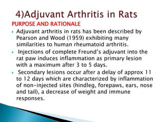 PURPOSE AND RATIONALE
 Adjuvant arthritis in rats has been described by
Pearson and Wood (1959) exhibiting many
similarities to human rheumatoid arthritis.
 Injections of complete Freund’s adjuvant into the
rat paw induces inflammation as primary lesion
with a maximum after 3 to 5 days.
 Secondary lesions occur after a delay of approx 11
to 12 days which are characterized by inflammation
of non-injected sites (hindleg, forepaws, ears, nose
and tail), a decrease of weight and immune
responses.
 