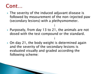  The severity of the induced adjuvant disease is
followed by measurement of the non-injected paw
(secondary lesions) with a plethysmometer.
↓
 Purposely, from day 13 to 21, the animals are not
dosed with the test compound or the standard.
↓
 On day 21, the body weight is determined again
and the severity of the secondary lesions is
evaluated visually and graded according the
following scheme:
 