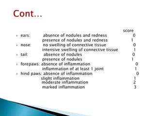 score
 ears: absence of nodules and redness 0
presence of nodules and redness 1
 nose: no swelling of connective tissue 0
intensive swelling of connective tissue 1
 tail: absence of nodules 0
presence of nodules 1
 forepaws: absence of inflammation 0
inflammation of at least 1 joint 1
 hind paws: absence of inflammation 0
slight inflammation 1
moderate inflammation 2
marked inflammation 3
 