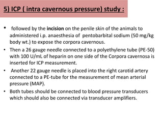 5) ICP ( intra cavernous pressure) study :
• followed by the incision on the penile skin of the animals to
administered i.p. anaesthesia of pentobarbital sodium (50 mg/kg
body wt.) to expose the corpora cavernous.
• Then a 26 gauge needle connected to a polyethylene tube (PE-50)
with 100 U/mL of heparin on one side of the Corpora cavernosa is
inserted for ICP measurement.
• Another 22 gauge needle is placed into the right carotid artery
connected to a PE-tube for the measurement of mean arterial
pressure (MAP).
• Both tubes should be connected to blood pressure transducers
which should also be connected via transducer amplifiers.
 