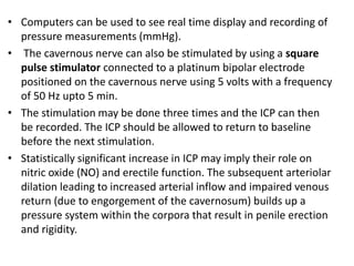 • Computers can be used to see real time display and recording of
pressure measurements (mmHg).
• The cavernous nerve can also be stimulated by using a square
pulse stimulator connected to a platinum bipolar electrode
positioned on the cavernous nerve using 5 volts with a frequency
of 50 Hz upto 5 min.
• The stimulation may be done three times and the ICP can then
be recorded. The ICP should be allowed to return to baseline
before the next stimulation.
• Statistically significant increase in ICP may imply their role on
nitric oxide (NO) and erectile function. The subsequent arteriolar
dilation leading to increased arterial inflow and impaired venous
return (due to engorgement of the cavernosum) builds up a
pressure system within the corpora that result in penile erection
and rigidity.
 