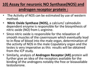 10) Assay for neuronic NO Synthase(NOS) and
androgen receptor protein :
• The Activity of NOS can be estimated by use of western
method.
• Nitric Oxide Synthase (NOS), a calcium/ calmodulin
dependent enzyme is responsible for the biosynthesis of
nitric oxide (NO) from L-arginine.
• Since nitric oxide is responsible for the relaxation of
smooth muscles of the cavernosum which eventually lead
to in-flow of blood into the male organ, determination of
the activity of NOS in the male Copulatory organ and the
testes is very imperative as this results will be obtained
from the ICP study.
• Similarly, analysis of Androgen Receptor (AR) protein will
further give an idea of the receptors available for the
binding of the androgens notably the free or bioavailable
testosterone.
 