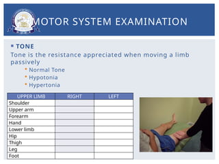 Components of Screening neurological examination.pptx