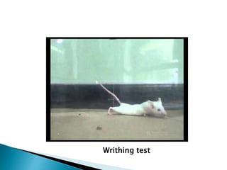 Writhing test
 
