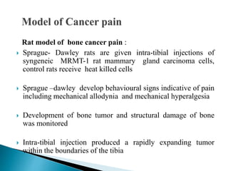 Rat model of bone cancer pain :
 Sprague- Dawley rats are given intra-tibial injections of
syngeneic MRMT-1 rat mammary gland carcinoma cells,
control rats receive heat killed cells
 Sprague –dawley develop behavioural signs indicative of pain
including mechanical allodynia and mechanical hyperalgesia
 Development of bone tumor and structural damage of bone
was monitored
 Intra-tibial injection produced a rapidly expanding tumor
within the boundaries of the tibia
 