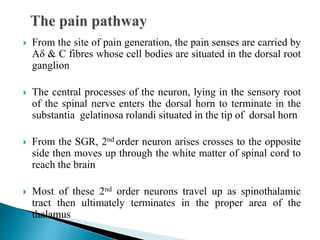  From the site of pain generation, the pain senses are carried by
Aδ & C fibres whose cell bodies are situated in the dorsal root
ganglion
 The central processes of the neuron, lying in the sensory root
of the spinal nerve enters the dorsal horn to terminate in the
substantia gelatinosa rolandi situated in the tip of dorsal horn
 From the SGR, 2nd order neuron arises crosses to the opposite
side then moves up through the white matter of spinal cord to
reach the brain
 Most of these 2nd order neurons travel up as spinothalamic
tract then ultimately terminates in the proper area of the
thalamus
 