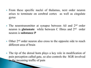  From these specific nuclei of thalamus, next order neuron
arises to terminate on cerebral cortex as well as cingulate
gyrus
 The neurotransmitter at synapse between Aδ and 2nd order
neuron is glutamate while between C fibres and 2nd order
neuron is substance P
 Other 2nd order neuron also cross to the opposite side to reach
different area of brain
 The tip of the dorsal horn plays a key role in modification of
pain perception called gate, so also controls the SGR involved
in the incoming traffic of pain
 