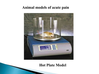 Hot Plate Model
Animal models of acute pain
 