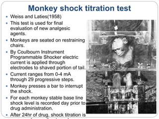Monkey shock titration test
 Weiss and Laties(1958)
 This test is used for final
evaluation of new analgesic
agents.
 Monkeys are seated on restraining
chairs.
 By Coulbourn Instrument
Programmable Shocker electric
current is applied through
electrodes to shaved portion of tail.
 Current ranges from 0-4 mA
through 29 progressive steps.
 Monkey presses a bar to interrupt
the shock.
 For each monkey stable base line
shock level is recorded day prior to
drug administration.
 After 24hr of drug, shock titration is
 