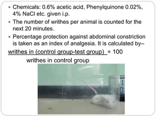  Chemicals: 0.6% acetic acid, Phenylquinone 0.02%,
4% NaCl etc. given i.p.
 The number of writhes per animal is counted for the
next 20 minutes.
 Percentage protection against abdominal constriction
is taken as an index of analgesia. It is calculated by–
writhes in (control group-test group) × 100
writhes in control group
 