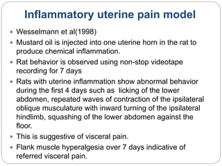 Inflammatory uterine pain model
 Wesselmann et al(1998)
 Mustard oil is injected into one uterine horn in the rat to
produce chemical inflammation.
 Rat behavior is observed using non-stop videotape
recording for 7 days
 Rats with uterine inflammation show abnormal behavior
during the first 4 days such as licking of the lower
abdomen, repeated waves of contraction of the ipsilateral
oblique musculature with inward turning of the ipsilateral
hindlimb, squashing of the lower abdomen against the
floor.
 This is suggestive of visceral pain.
 Flank muscle hyperalgesia over 7 days indicative of
referred visceral pain.
 