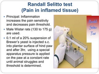 Randall Selitto test
(Pain in inflamed tissue)
 Principal: Inflammation
increases the pain sensitivity
and decreases pain threshold.
 Male Wistar rats (130 to 175 g)
are used.
 0.1 ml of a 20% suspension of
Brewer’s yeast is injected s.c.
into plantar surface of hind paw
and after 3hr, using a special
apparatus pressure is applied
on the paw at a constant rate
until animal struggles and
threshold is determined.
 