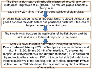 The time interval between the application of the light beam and the
brisk hind paw withdrawal response is measured.
The thermal nociceptive threshold is measured according to the
method of Hargreaves et al. (1988). The rats are placed beneath a
clear plastic
cage (10 × 20 × 24 cm) upon an elevated floor of clear glass.
A radiant heat source (halogen projector lamp) is placed beneath the
glass floor on a movable holder and positioned such that it focuses at
the plantar area of one hind paw.
After 7-8 days, test drug and vehicle injected intrathecally.
Paw withdrawal latency (PWL) of hind paws is recorded before and
after 5, 15, 30, 60 and 90 min after injection. To analyze the
magnitude of hyperesthesia, the difference score (DS) is calculated
by subtraction the maximum PWL of the control side (left side) from
the maximum PWL of the affected side (right side). Maximum PWL is
defined as the PWL which was the maximum during the first 30 min
after injection.
 