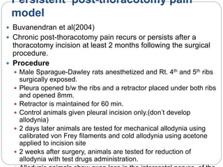 Persistent post-thoracotomy pain
model
 Buvanendran et al(2004)
 Chronic post-thoracotomy pain recurs or persists after a
thoracotomy incision at least 2 months following the surgical
procedure.
 Procedure
 Male Sparague-Dawley rats anesthetized and Rt. 4th and 5th ribs
surgically exposed.
 Pleura opened b/w the ribs and a retractor placed under both ribs
and opened 8mm.
 Retractor is maintained for 60 min.
 Control animals given pleural incision only.(don’t develop
allodynia)
 2 days later animals are tested for mechanical allodynia using
calibrated von Frey filaments and cold allodynia using acetone
applied to incision site
 2 weeks after surgery, animals are tested for reduction of
allodynia with test drugs administration.
 