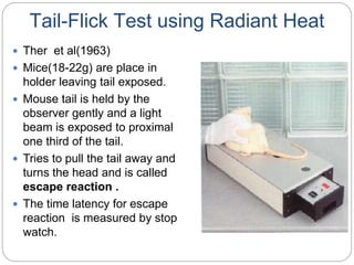 Tail-Flick Test using Radiant Heat
 Ther et al(1963)
 Mice(18-22g) are place in
holder leaving tail exposed.
 Mouse tail is held by the
observer gently and a light
beam is exposed to proximal
one third of the tail.
 Tries to pull the tail away and
turns the head and is called
escape reaction .
 The time latency for escape
reaction is measured by stop
watch.
 