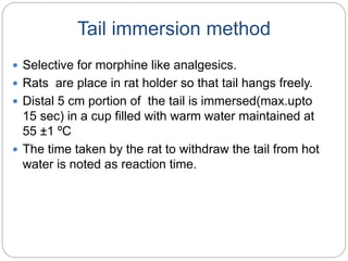 Tail immersion method
 Selective for morphine like analgesics.
 Rats are place in rat holder so that tail hangs freely.
 Distal 5 cm portion of the tail is immersed(max.upto
15 sec) in a cup filled with warm water maintained at
55 ±1 ºC
 The time taken by the rat to withdraw the tail from hot
water is noted as reaction time.
 