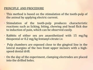 PRINCIPLE AND PROCEDURE
• This method is based on the stimulation of the tooth-pulp of
the animal by applying electric current.
• Stimulation of the tooth-pulp produces characteristic
reactions such as licking, biting, chewing and head flick due
to induction of pain, which can be observed easily.
• Rabbits of either sex are anaesthetized with 15 mg/kg
thiopental or 0.2 mg/kg fentanyl-citrate i.v.
• Pulp chambers are exposed close to the gingival line in the
lateral margins of the two front upper incisors with a high-
speed dental drill.
• On the day of the experiment, clamping electrodes are placed
into the drilled holes.
 