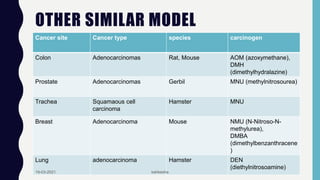 Screening of anti cancer agents- by kahkesha | PPTX