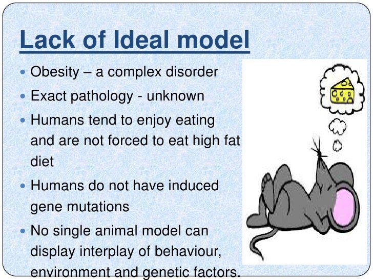 Screening of anti obesity drugs