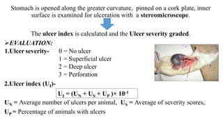 Stomach is opened along the greater curvature, pinned on a cork plate, inner
surface is examined for ulceration with a stereomicroscope.
The ulcer index is calculated and the Ulcer severity graded.
EVALUATION:
1.Ulcer severity- 0 = No ulcer
1 = Superficial ulcer
2 = Deep ulcer
3 = Perforation
2.Ulcer index (UI)-
UN = Average number of ulcers per animal, US = Average of severity scores,
UP = Percentage of animals with ulcers
UI = (UN + US + UP )× 10-1
 