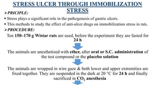 STRESS ULCER THROUGH IMMOBILIZATION
STRESSPRICIPLE:
 Stress plays a significant role in the pathogenesis of gastric ulcers.
 This methods to study the effect of anti-ulcer drugs on immobilization stress in rats.
PROCEDURE:
Ten 150–170 g Wistar rats are used, before the experiment they are fasted for
24 h
The animals are anesthetized with ether, after oral or S.C. administration of
the test compound or the placebo solution
The animals are wrapped in wire gaze & both lower and upper extremities are
fixed together. They are suspended in the dark at 20 °C for 24 h and finally
sacrificed in CO2 anesthesia
 