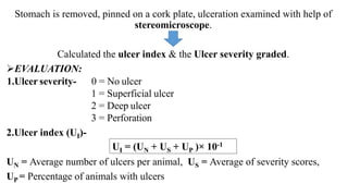 Stomach is removed, pinned on a cork plate, ulceration examined with help of
stereomicroscope.
Calculated the ulcer index & the Ulcer severity graded.
EVALUATION:
1.Ulcer severity- 0 = No ulcer
1 = Superficial ulcer
2 = Deep ulcer
3 = Perforation
2.Ulcer index (UI)-
UN = Average number of ulcers per animal, US = Average of severity scores,
UP = Percentage of animals with ulcers
UI = (UN + US + UP )× 10-1
 
