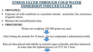 STRESS ULCER THROUGH COLD WATER
IMMERSION INDUCED ULCER
 PRINCIPLE:
 Exposure of cold conditions to restrained animals accelerates the occurrence
of gastric ulcers.
 Shortens the immobilization time.
 PROCEDURE:
Wistar rats weighing 150-200 grams are used.
After fasting the animals for 16 hours, the test compound is administered orally
Rats are then placed individually in restraint cages vertically, and then immersed
in water upto the xiphoid process, at 22°C for 1 hour.
 