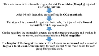 Then rats are removed from the cages, dried & Evan’s blue(30mg/kg) injected
i.v. via the tail vein
After 10 min later, they are sacrificed in CO2 anesthesia
The stomach is removed & ligated at both ends, It’s injected with Formol
saline(2% v/v) & kept overnight
On the next day, the stomach is opened along the greater curvature and washed in
warm water, and examined under a 3-fold magnifier
The lengths of the longest diameters of the lesions are measured and summated
to give a total lesion score (in mm) for each animal & the mean count for each
group being calculated.
 
