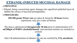 ETHANOL-INDUCED MUCOSAL DAMAGE
PRINCIPLE:
• Ethanol, being a necrotizing agent, damages the superficial epithelial layers &
inhibits the release of mucosal prostaglandins.
PROCEDURE:
250-300 grams Wister rats are taken & fasted for 18 hours before
experiment; only give water ad libitum
The drug is administered intragastrally 30 min prior to administration of 1
ml/200gm of 99.80% alcohol(Ethanol) and untreated animals are included as
controls
After 1 h administration of ethanol, the rats are scarified by CO2 anesthesia
 