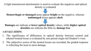 A light transmission densitometer is used to evaluate the negatives and optical
density is evaluated
Hemorrhagic or damaged areas appear bright on the negative, whereas
undamaged tissue appears dark
Damages are indicate at lower optical density values, while higher optical
densities are indicate the little or, damage less
EVALUATION:
1. The significance of differences in optical density between control and
ethanol-treated tissue is evaluated by non paired single-tail Student’s t-test.
2. The subjective scores of the treated tissues are recorded; the graded response
is reflecting the least to most damage.
 