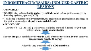 INDOMETHACIN(NSAIDS)-INDUCED GASTRIC
LESIONS
PRINCIPLE:
 NSAIDS like, indomethacin and acetyl-salicylic acid, induce gastric damage ; by
blocking cyclo-oxygenase(COX).
 This is due to formation of Prostacyclin, the predominant prostaglandin produced in
the gastric mucosa(loss of gastric mucosal defense).
PROCEDURE:
(Groups of 8–10) 150–200 g Wistar rats weighing are used & fasted for 36 hours
before Indomethacin administration
The test drugs are administered orally in 0.1% Tween 80 solution, 10 min before to
indomethacin (orally 20 mg/kg)
After 6 h, they are sacrificed in CO2 anesthesia
 