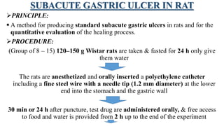 SUBACUTE GASTRIC ULCER IN RAT
PRINCIPLE:
 A method for producing standard subacute gastric ulcers in rats and for the
quantitative evaluation of the healing process.
PROCEDURE:
(Group of 8 – 15) 120–150 g Wistar rats are taken & fasted for 24 h only give
them water
The rats are anesthetized and orally inserted a polyethylene catheter
including a fine steel wire with a needle tip (1.2 mm diameter) at the lower
end into the stomach and the gastric wall
30 min or 24 h after puncture, test drug are administered orally, & free access
to food and water is provided from 2 h up to the end of the experiment
 
