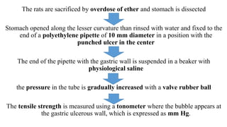The rats are sacrificed by overdose of ether and stomach is dissected
Stomach opened along the lesser curvature than rinsed with water and fixed to the
end of a polyethylene pipette of 10 mm diameter in a position with the
punched ulcer in the center
The end of the pipette with the gastric wall is suspended in a beaker with
physiological saline
the pressure in the tube is gradually increased with a valve rubber ball
The tensile strength is measured using a tonometer where the bubble appears at
the gastric ulcerous wall, which is expressed as mm Hg.
 