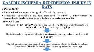GASTRIC ISCHEMIA-REPERFUSION INJURY IN
RATSPRINCIPLE:
 Endothelin-1 has potent ulcer genic effects in the stomach.
 Endogenous endothelin-1 has been implicated for ethanol-, indomethacin- &
hemorrhagic shock induced gastric ischemia-reperfusion injuries.
PROCEDURE :
(Group of 5) 200–250 g Wistar rats are fasted for 24 h, give water than rats are
anesthetized with urethane i.p. (1.5 g/kg)
The test/standard is given to all rats, then stomach is dissected and instilled with
0.15 M HCl
The left gastric artery is clamped by a small vascular clamp for 5 min to induce
ischemia and 30 min of reperfusion is done by releasing the clamp
 