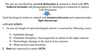 The rats are sacrificed by cervical dislocation & stomach is fixed with 10%
buffered formalin and photographed for histological evaluation of injuries
with Planimeter
Each histological section is stained with hematoxylin/eosin and examined under
light microscope
EVALUATION:
1. An one cm length of each histological section is assessed by following scores
:
1 = Epithelial damage,
2 = Glandular disruption, Vasocongestion or edema in the upper mucosa
3 = Hemorrhagic damage in the mid to lower mucosa
4 = Deep necrosis and ulceration.
2. Data are expressed as mean ±SEM.
 