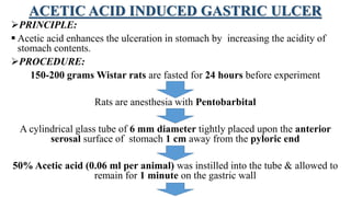 ACETIC ACID INDUCED GASTRIC ULCER
PRINCIPLE:
 Acetic acid enhances the ulceration in stomach by increasing the acidity of
stomach contents.
PROCEDURE:
150-200 grams Wistar rats are fasted for 24 hours before experiment
Rats are anesthesia with Pentobarbital
A cylindrical glass tube of 6 mm diameter tightly placed upon the anterior
serosal surface of stomach 1 cm away from the pyloric end
50% Acetic acid (0.06 ml per animal) was instilled into the tube & allowed to
remain for 1 minute on the gastric wall
 