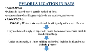 PYLORUS LIGATION IN RATS
PRINCIPLE:
 Pylorus is ligated over a certain period of time.
 accumulation of acidic gastric juice in the stomach,cause ulcer.
PROCEDURE:
150–200 g Wistar rats are fasted for 48 h, only with water, libitum
They are housed singly in cage with raised bottoms of wide wire mesh to
avoid coprophagy
Under anaesthesia, a 1 inch midline abdominal incision is given below
xiphoid process
 