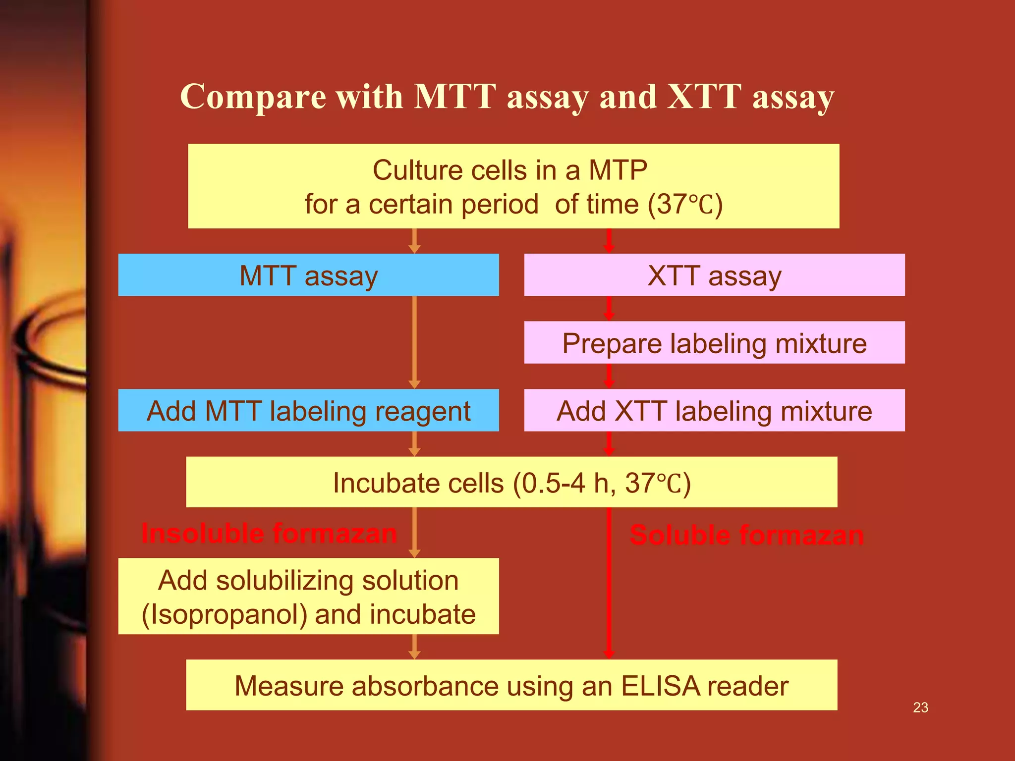 Compare with MTT assay and XTT assay
Culture cells in a MTP
for a certain period of time (37℃)
MTT assay XTT assay
Prepare labeling mixture
Incubate cells (0.5-4 h, 37℃)
Add solubilizing solution
(Isopropanol) and incubate
Measure absorbance using an ELISA reader
Add XTT labeling mixtureAdd MTT labeling reagent
Insoluble formazan Soluble formazan
23
 