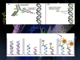 Screening of anticancer drugs | PPTX
