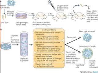 Screening of anticancer drugs | PPTX