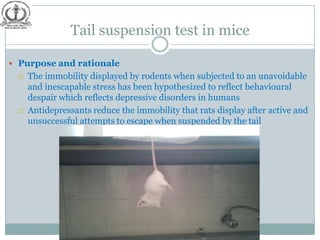 Tail suspension test in mice

 Purpose and rationale
    The immobility displayed by rodents when subjected to an unavoidable
     and inescapable stress has been hypothesized to reflect behavioural
     despair which reflects depressive disorders in humans
    Antidepressants reduce the immobility that rats display after active and
     unsuccessful attempts to escape when suspended by the tail
 
