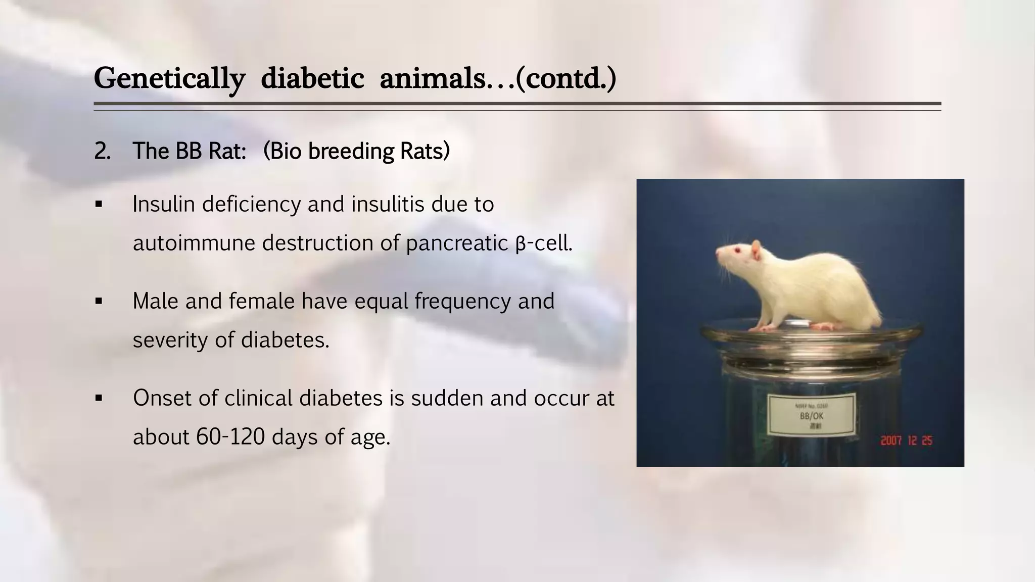 Screening of Antidiabetics | PPTX