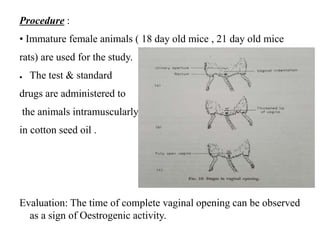 Procedure :
• Immature female animals ( 18 day old mice , 21 day old mice
rats) are used for the study.
● The test & standard
drugs are administered to
the animals intramuscularly
in cotton seed oil .
Evaluation: The time of complete vaginal opening can be observed
as a sign of Oestrogenic activity.
 