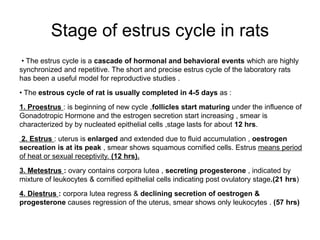 Stage of estrus cycle in rats
• The estrus cycle is a cascade of hormonal and behavioral events which are highly
synchronized and repetitive. The short and precise estrus cycle of the laboratory rats
has been a useful model for reproductive studies .
• The estrous cycle of rat is usually completed in 4-5 days as :
1. Proestrus : is beginning of new cycle ,follicles start maturing under the influence of
Gonadotropic Hormone and the estrogen secretion start increasing , smear is
characterized by by nucleated epithelial cells ,stage lasts for about 12 hrs.
2. Estrus : uterus is enlarged and extended due to fluid accumulation , oestrogen
secreation is at its peak , smear shows squamous cornified cells. Estrus means period
of heat or sexual receptivity. (12 hrs).
3. Metestrus : ovary contains corpora lutea , secreting progesterone , indicated by
mixture of leukocytes & cornified epithelial cells indicating post ovulatory stage.(21 hrs)
4. Diestrus : corpora lutea regress & declining secretion of oestrogen &
progesterone causes regression of the uterus, smear shows only leukocytes . (57 hrs)
 
