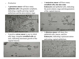 ● Evaluation
● A proestrus smear will have many
epithelial cells with granular cytoplasm,
indicating a rapidly growing vaginal
epithelium and the preovulatory stage .
● A positive estrus smear is one in which
only large, irregular cornified cells are
seen, indicating maximum growth of the
vaginal mucosa.
● A metestrus smear will have many
cornified cells, but also some
leukocytes and epithelial cells, indicating
the postovulatory stage and desquamation
of the vaginal mucosa.
● A diestrus smear will show few
epithelial cells, mucus, and few
leukocytes, indicating a quiescent uterus
and resting vaginal epithelium.
 