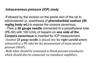 ●Intracavenous pressure (ICP) study
-Followed by the incision on the penile skin of the rat to
administered i.p. anesthesia of phenobarbital sodium (50
mg/kg body wt.) to expose the corpora cavernous.
-Then a 26 gauge needle connected to a polyethylene tube
(PE-50) with 100 U/mL of heparin on one side of the
Corpora cavernous is inserted for ICP measurement.
-Another 23 gauge needle is placed into the right carotid artery
connected to a PE-tube for the measurement of mean arterial
pressure (MAP).
-Both tubes should be connected to blood pressure transducers
which should also be connected via transducer amplifiers.
 