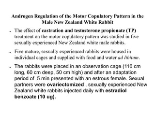 Androgen Regulation of the Motor Copulatory Pattern in the
Male New Zealand White Rabbit
● The effect of castration and testosterone propionate (TP)
treatment on the motor copulatory pattern was studied in five
sexually experienced New Zealand white male rabbits.
● Five mature, sexually experienced rabbits were housed in
individual cages and supplied with food and water ad libitum.
● The rabbits were placed in an observation cage (110 cm
long, 60 cm deep, 50 cm high) and after an adaptation
period of 5 min presented with an estrous female. Sexual
partners were ovariectomized , sexually experienced New
Zealand white rabbits injected daily with estradiol
benzoate (10 ug).
 